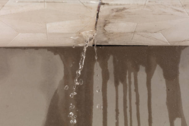 Professional Burst Pipe Cleanup technician working in Algonac, MI